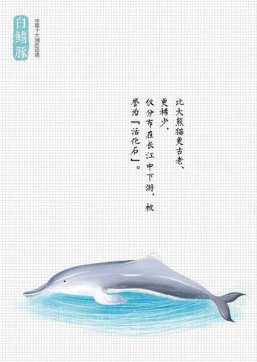 《守护多样之美》 一部深藏于图书页中的生态环境宣言